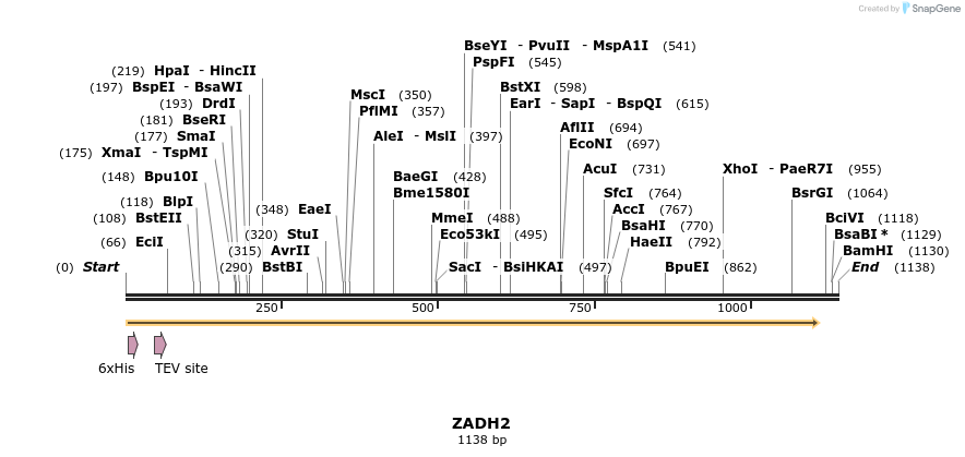 49064_map