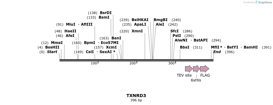 49066_map