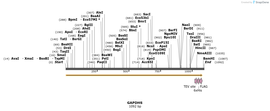 49068_map