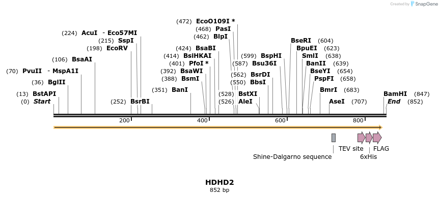 49069_map