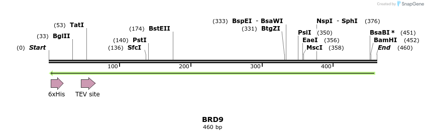 49070_map