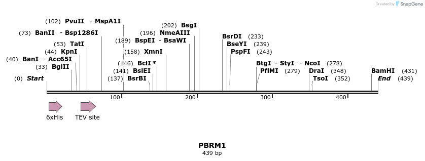 49071_map