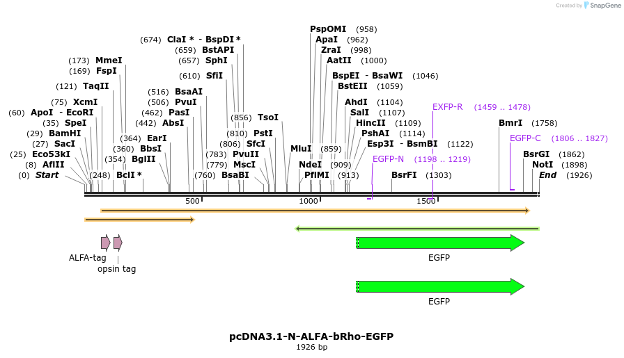 490711_map