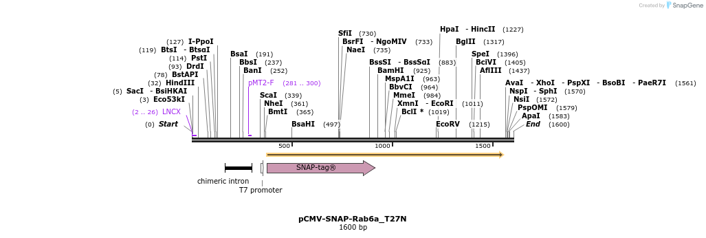 490716_map