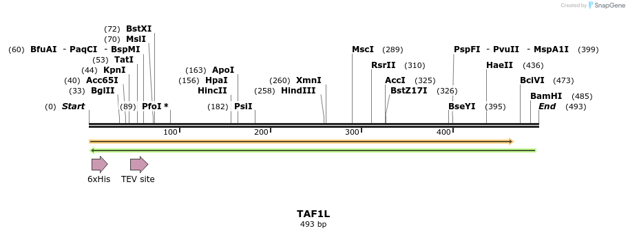 49072_map