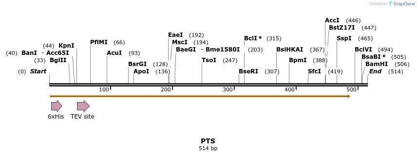 49073_map