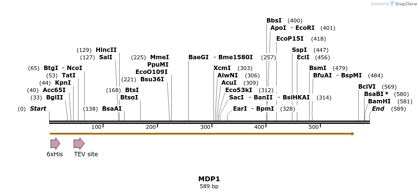 49075_map