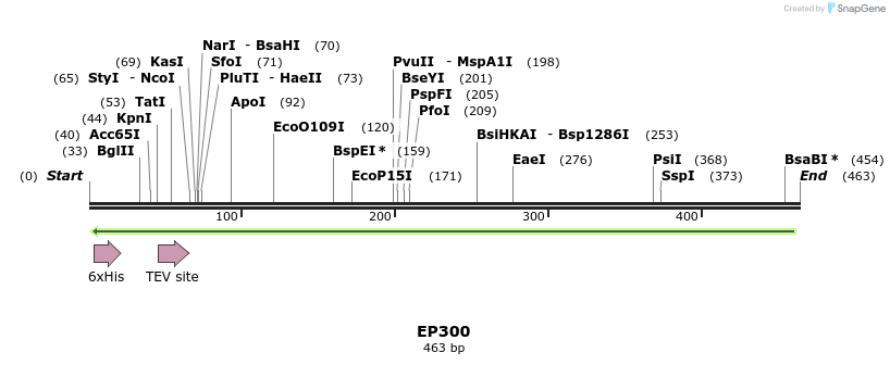 49076_map