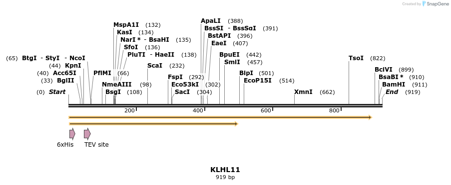 49077_map