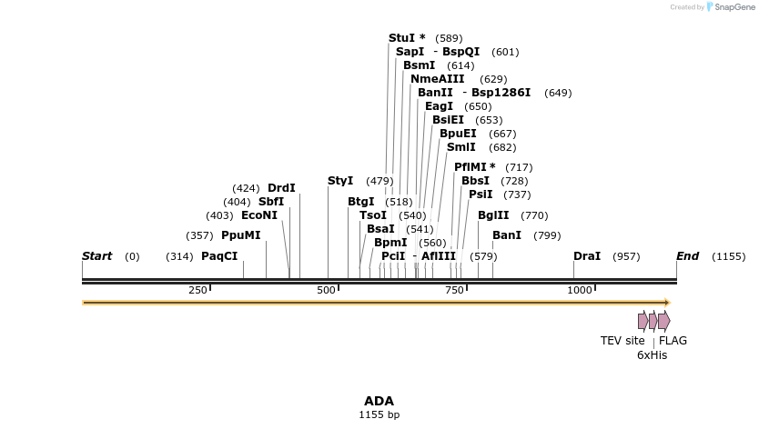 49078_map