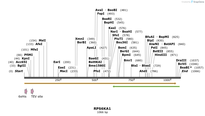 49079_map