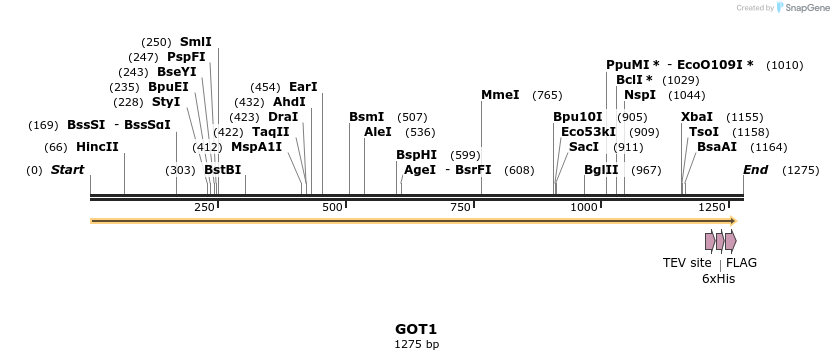 49080_map