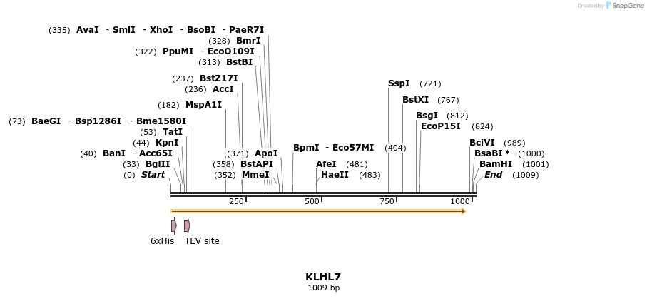 49081_map