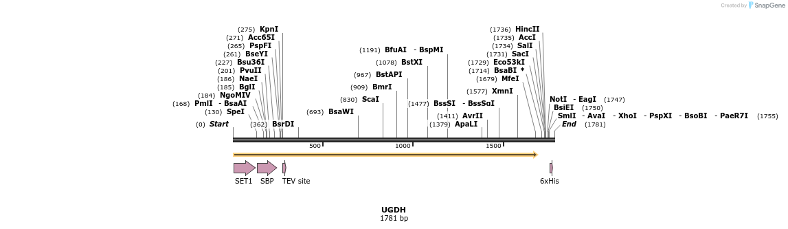 49084_map