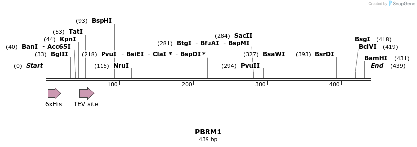 49085_map