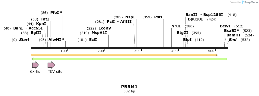 49086_map