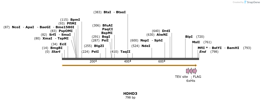 49087_map