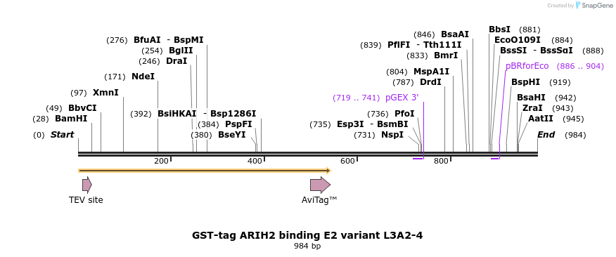 490889_map