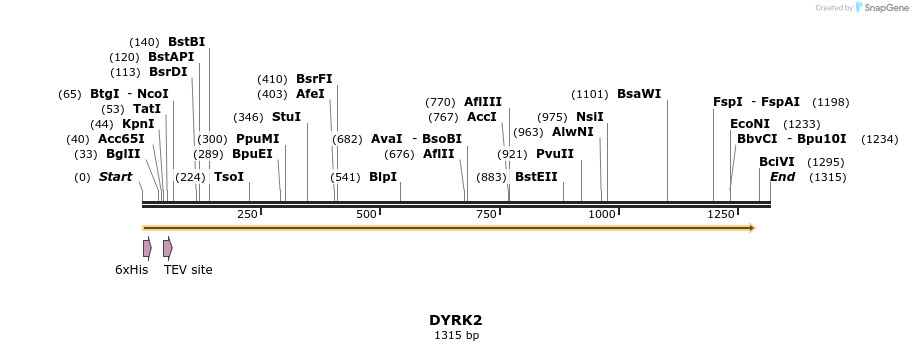 49089_map