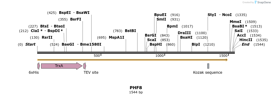49090_map