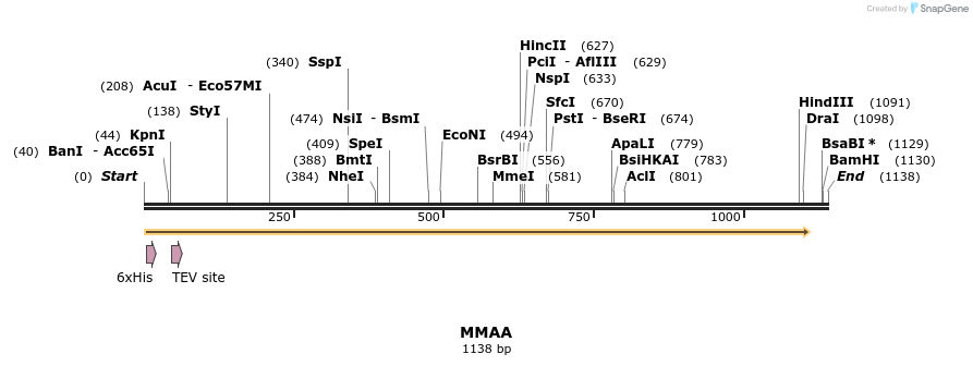 49091_map