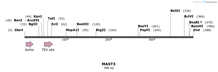 49092_map