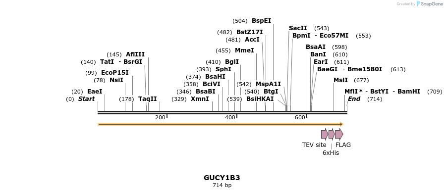 49093_map
