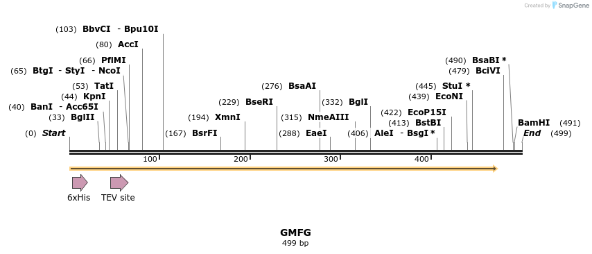 49095_map