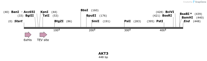 49096_map