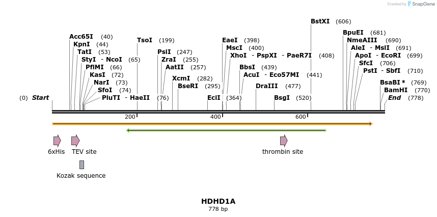 49097_map