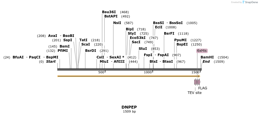 49098_map