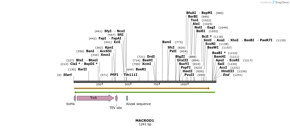 49099_map