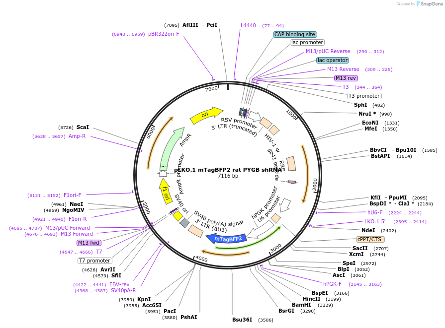 491002_map