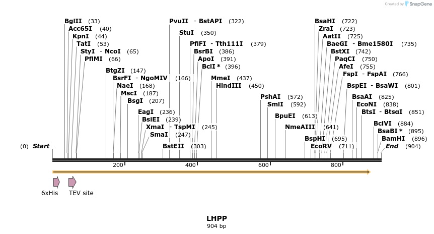 49101_map