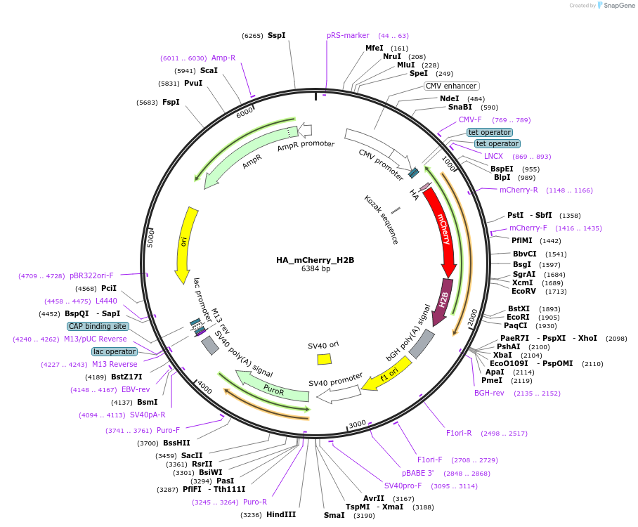 491012_map