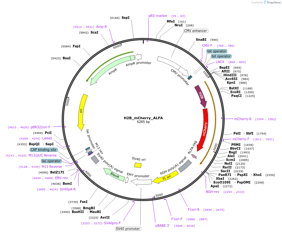 491013_map