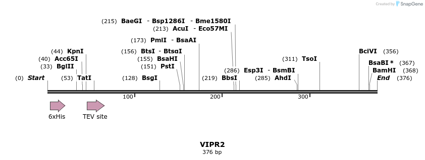 49102_map