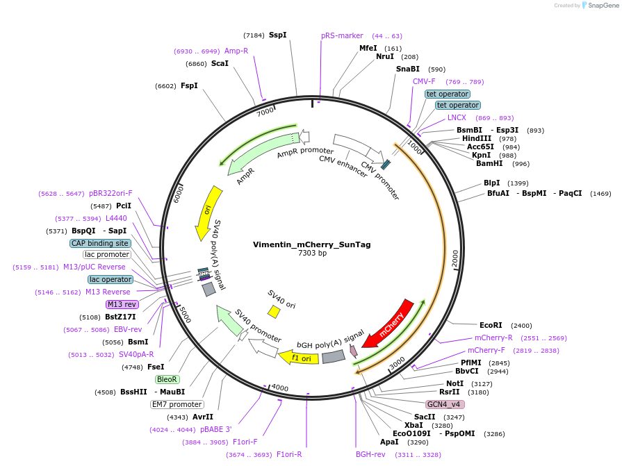 491020_map