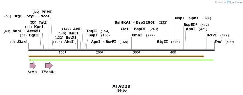 49104_map