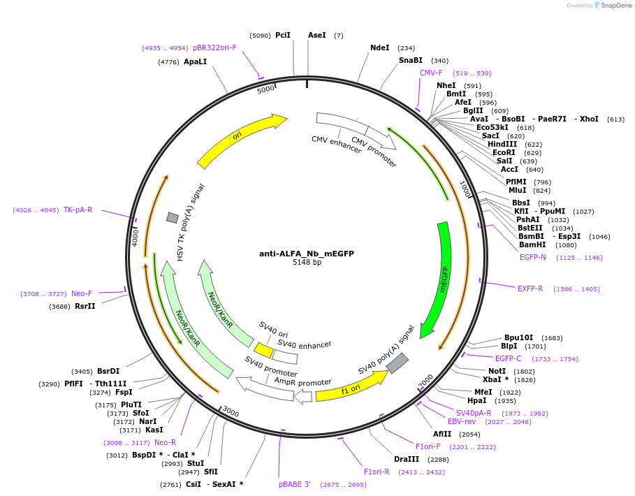 491043_map