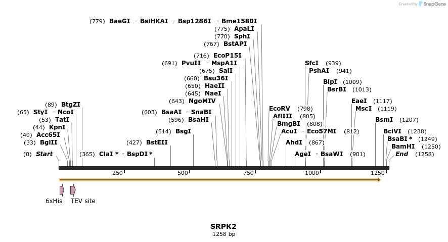 49105_map
