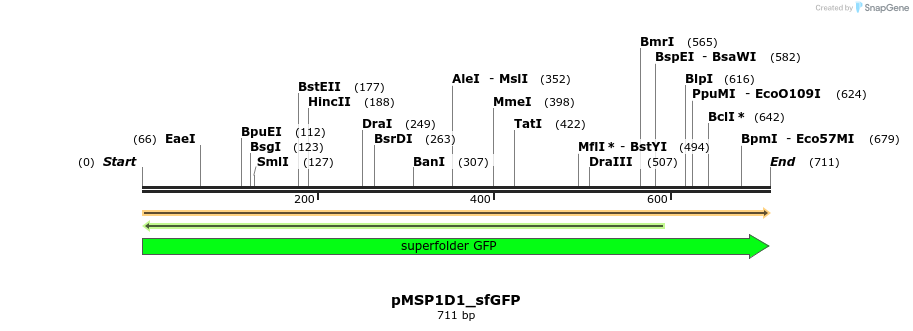 491052_map