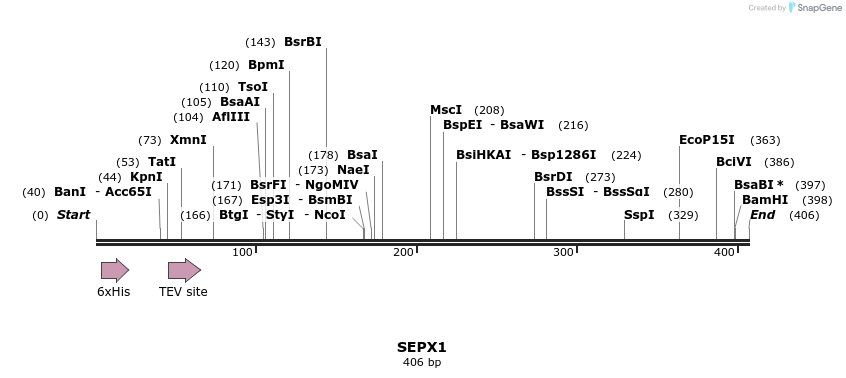 49106_map