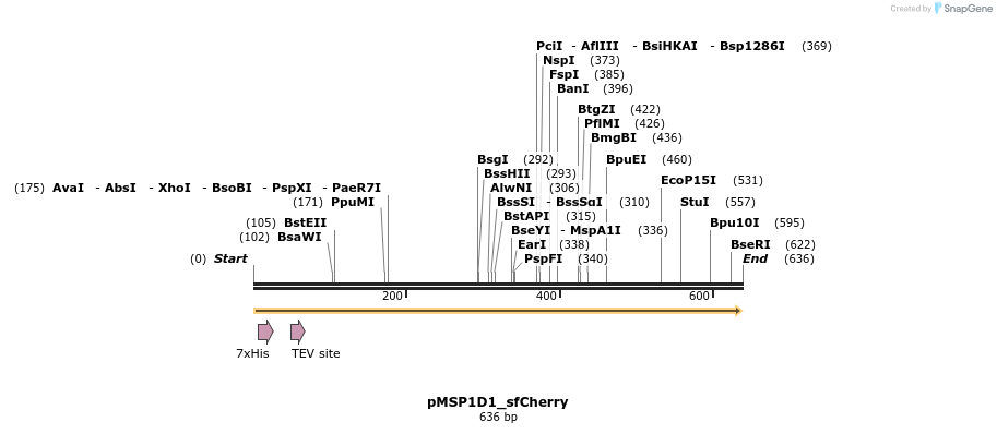 491060_map