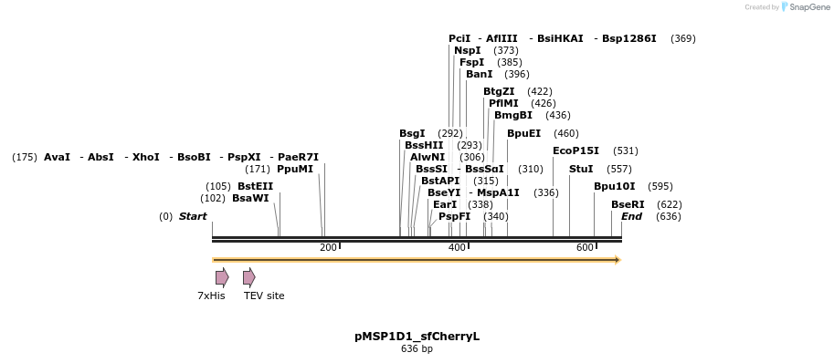 491063_map