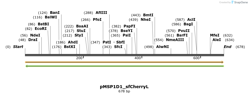 491064_map