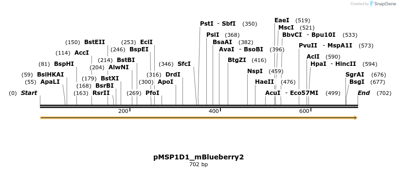 491067_map