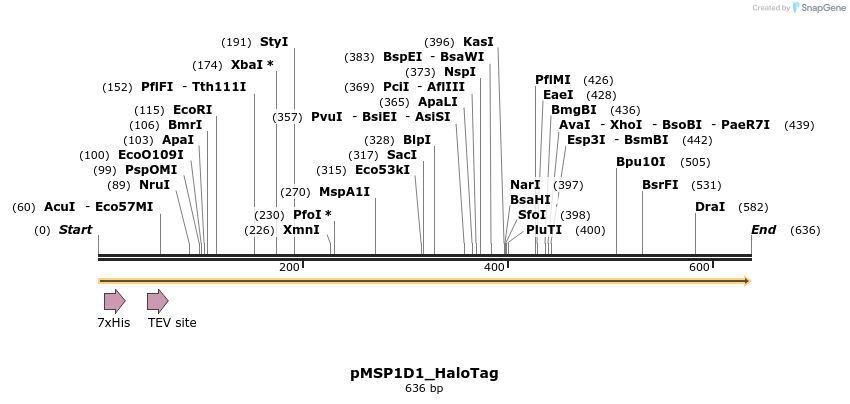 491069_map
