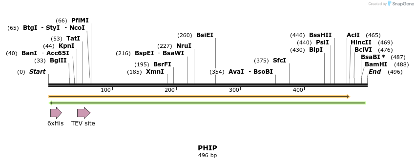 49107_map