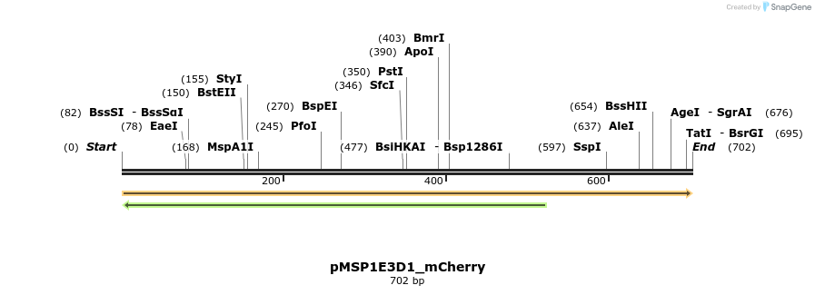 491079_map